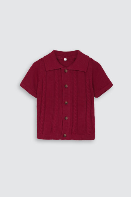 Paul Knit Polo Knit Maroon