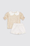 Daffodil-Set-1