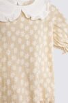 Daffodil-Set-1