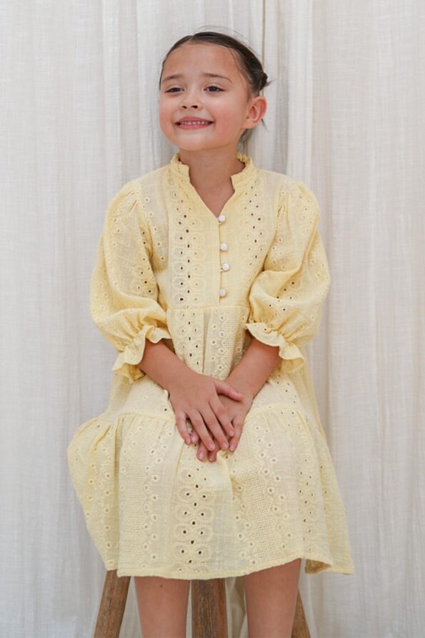 Raina Embroidery Dress Yellow 1