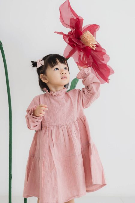 Zayna Dress Pink