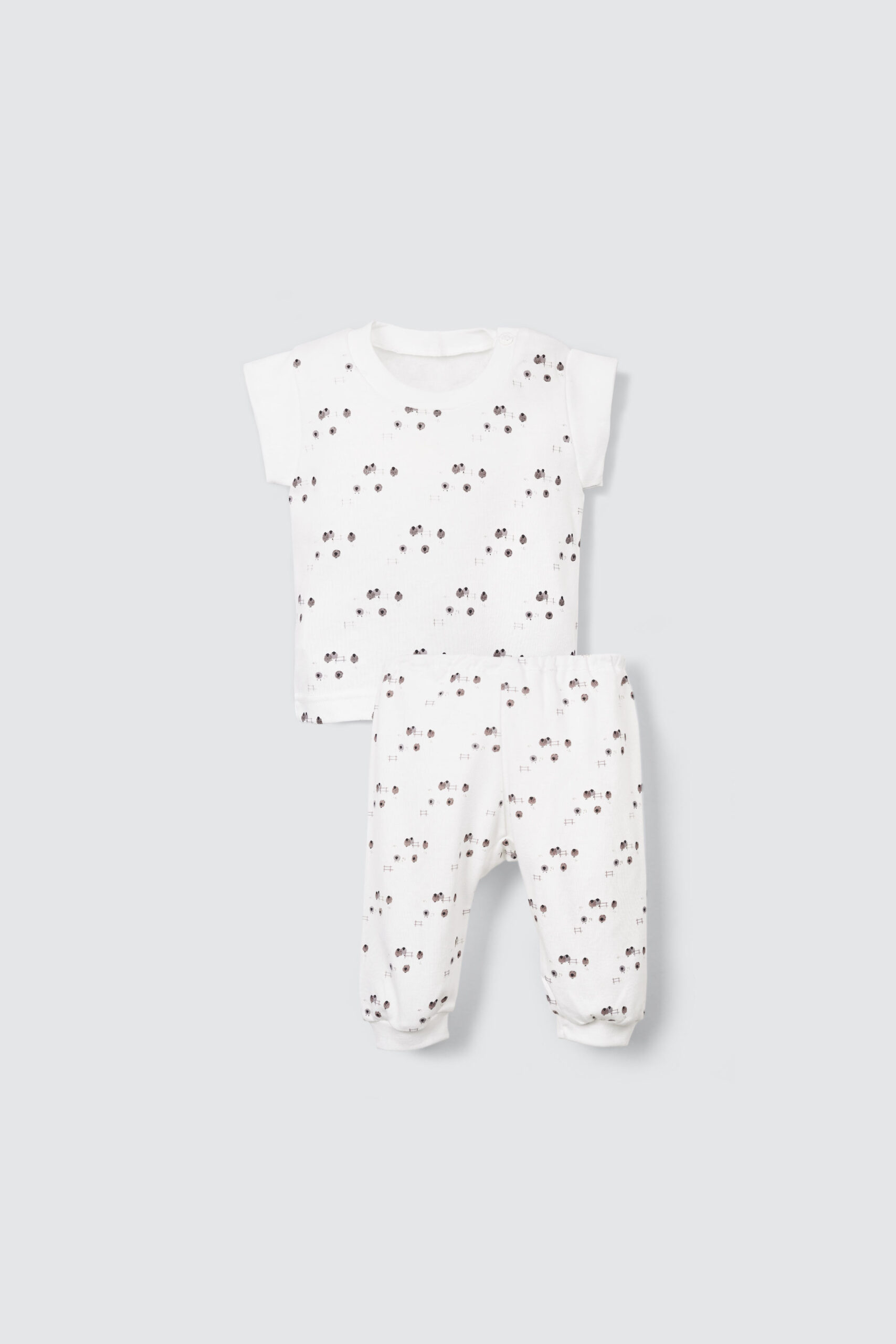 0Sheep-Stali-Long-Set-1-scaled 0Sheep Stali Long Set 1 scaled 1