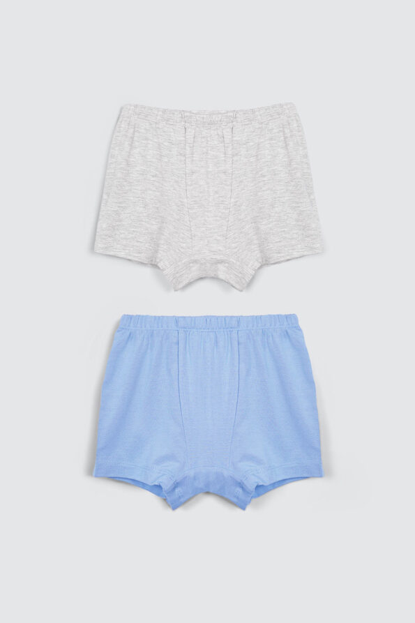 Boy Underwear Blue And Grey 1