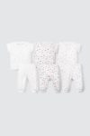 Kikipup Boys Stali Triplet Pack Fish Car Bluebells