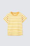 Cloud-Basic-Tees-Mustard-Stripes-depan