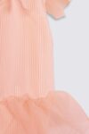 Watermelon—1