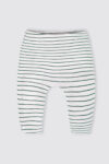 3-Pack-Fashion-Leggings—Dino-G—2