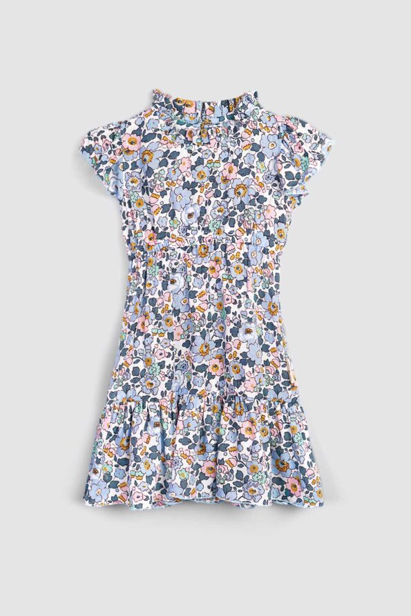 Charlotte Dress Blue Poopy 1