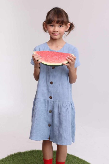 Gillian Dress Blue