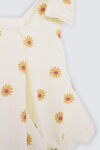 Amaryllis-Set—Creamy-Yellow—1