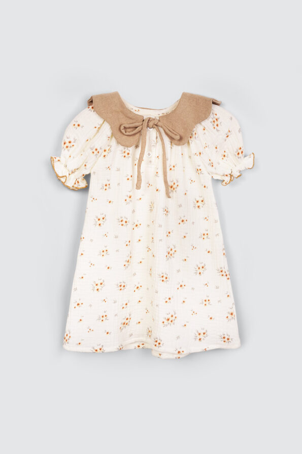 Ester Collar Dress 1