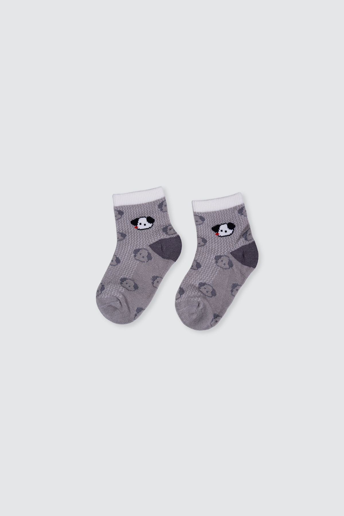 Set-of-5-Boy-Pet-Party-Socks4