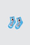 Set-of-5-Boy-Pet-Party-Socks