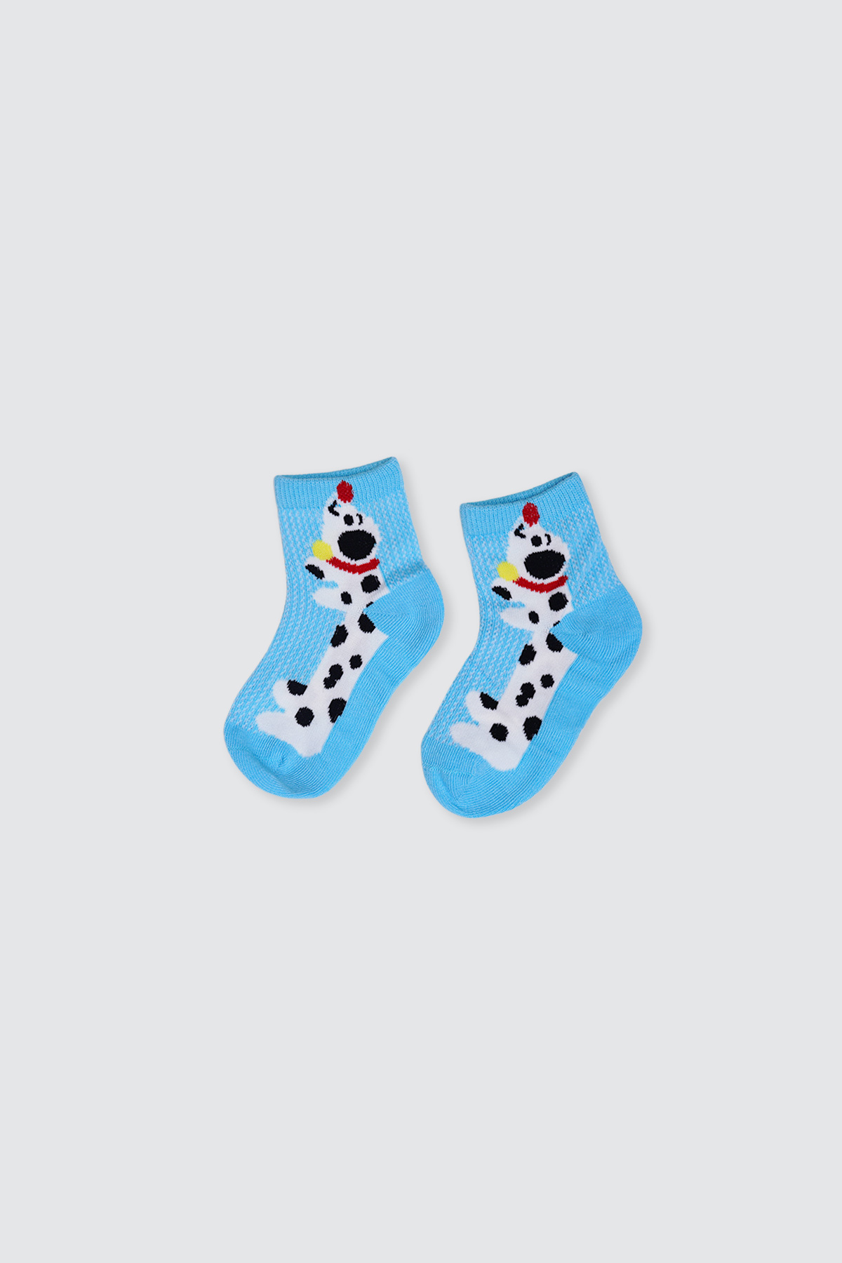 Set-of-5-Boy-Pet-Party-Socks5