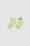 Set-of-5-Boy-Summer-Socks-depan