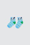 Set-of-5-Boy-Summer-Socks-depan