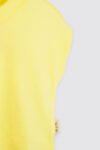 Haru-Yellow—1