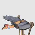 Knobbed-Hornbill—1
