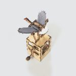 Knobbed-Hornbill—1