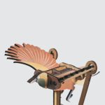 Lesser-Bird-of-Paradise—1