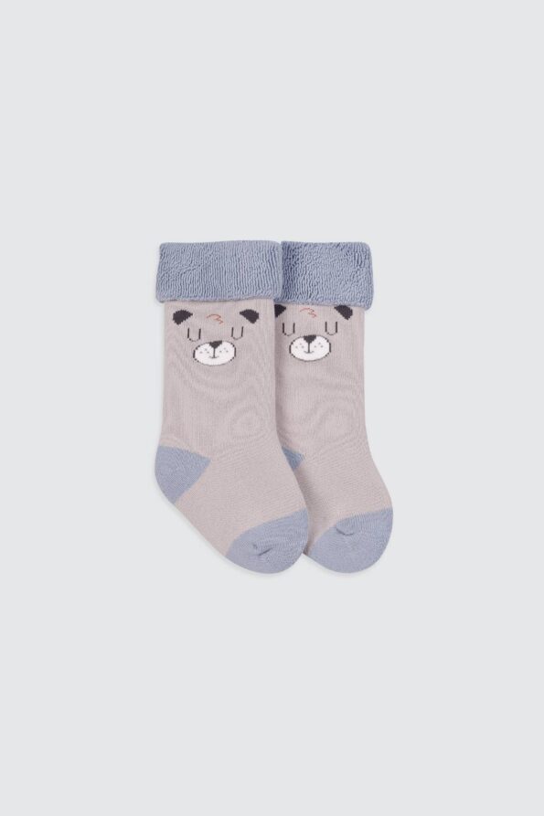 Bear-Blue-and-Grey-Socks-4