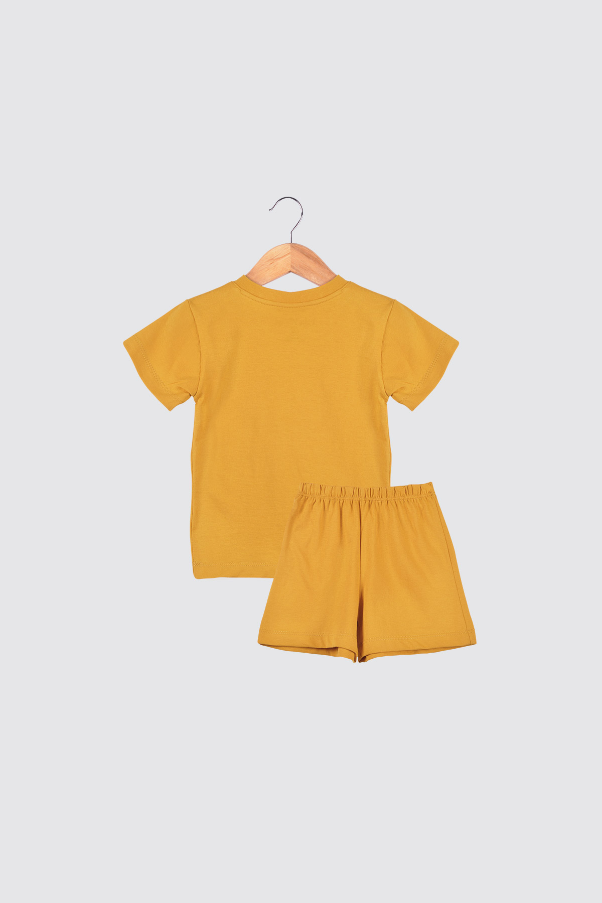 Patch-Set-Mustard-Cactus-2