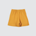 Patch-Set-Mustard-Zebra-1