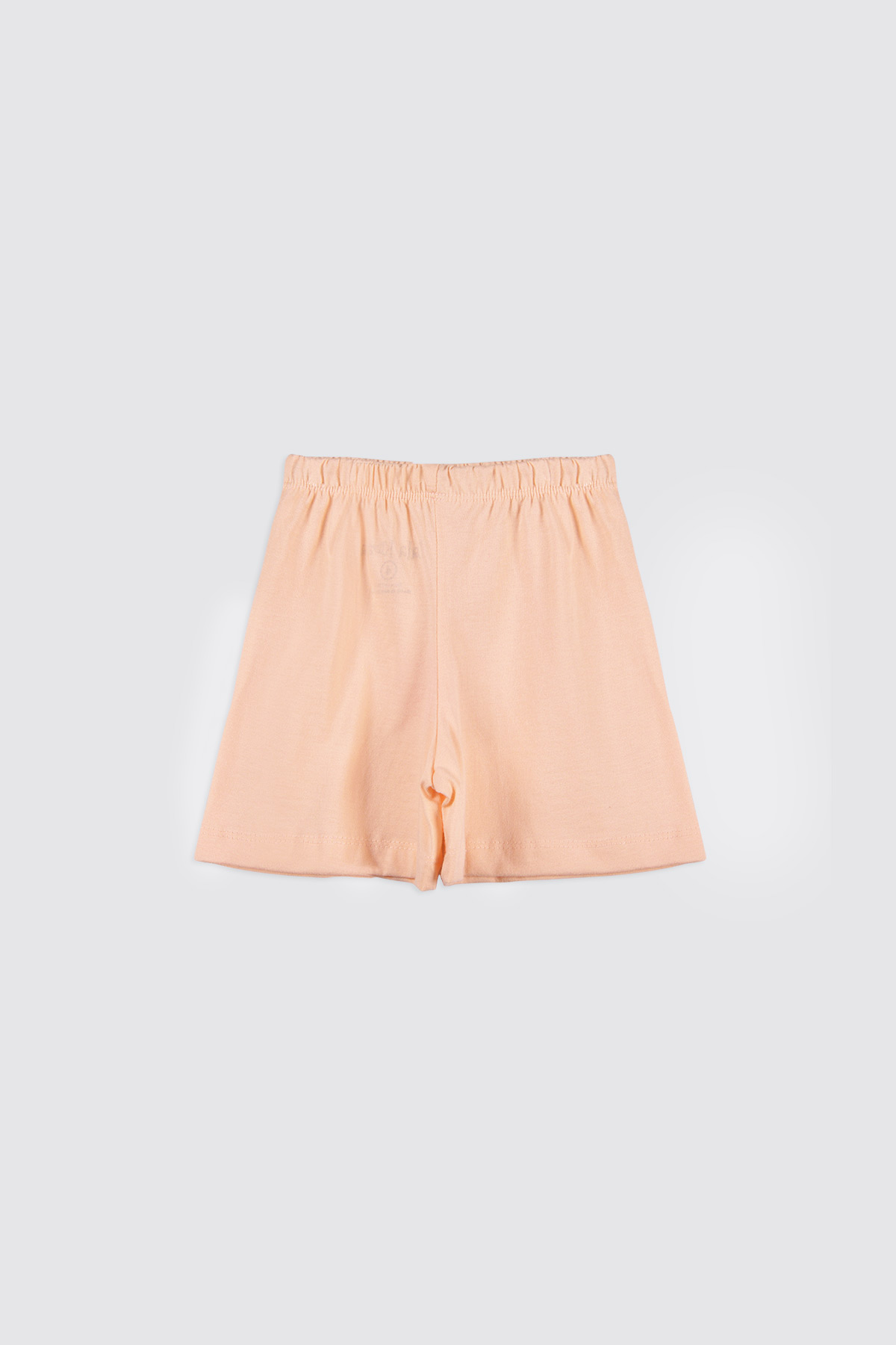 Patch-Set-Pink-Flamingo-6