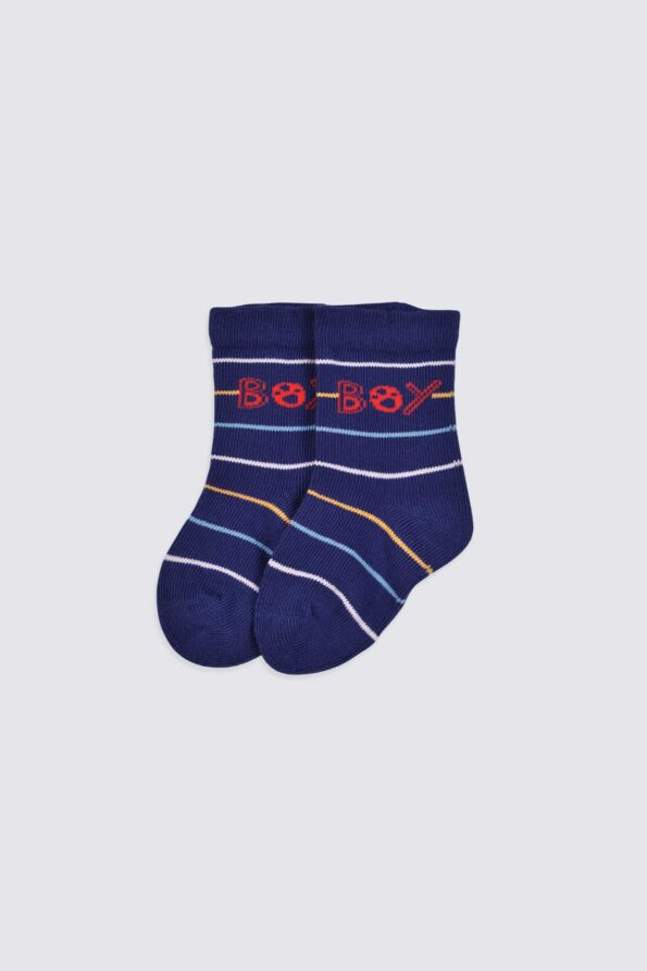 T-Rex-Grey-and-Boy-Navy-Socks-5