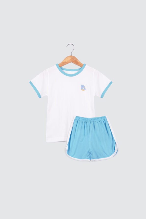 Retro Set Baby Blue Dolphin 1