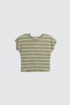 Ambra-top-green-2