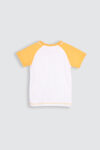Raglan-Set-Yellow-Revisi—1