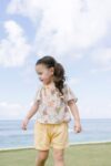 Rima-Set-Mustard-3