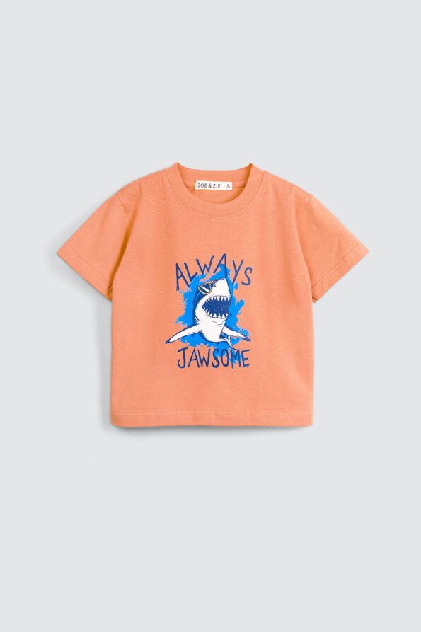 Noah T shirt Terracota 1