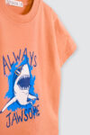 Noah-T-shirt—Terracota—1