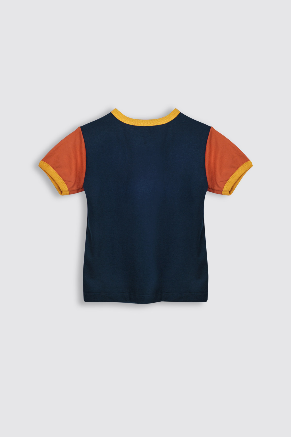 Block-Set-Ocean---Revisi---4