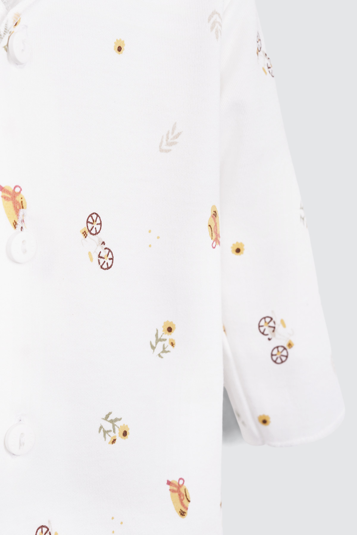 Sunflower-Details-v2-1