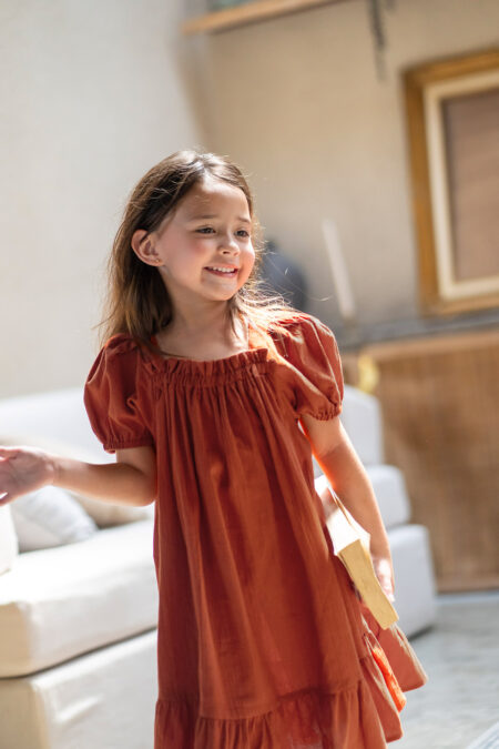 Xixi Dress Brick