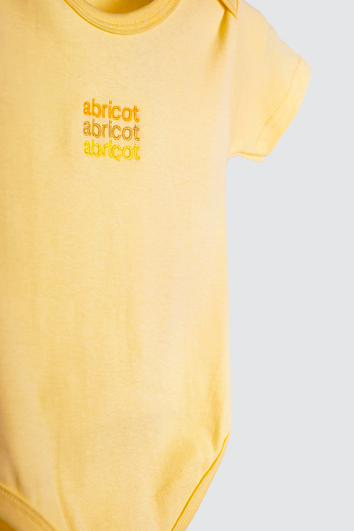 Abricot---16