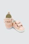 Taylor-Pink
