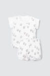 Kikipup Boys Stali Triplet Pack Fox Fish Sail -2