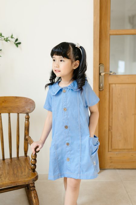 Kelly Denim Dress blue model