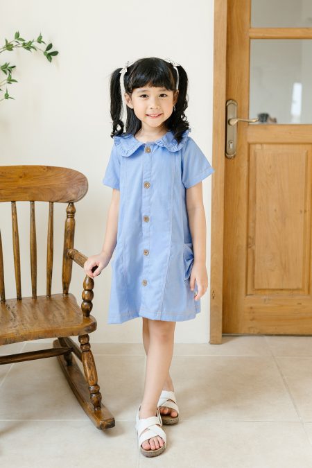 Kelly Denim Dress Light Blue