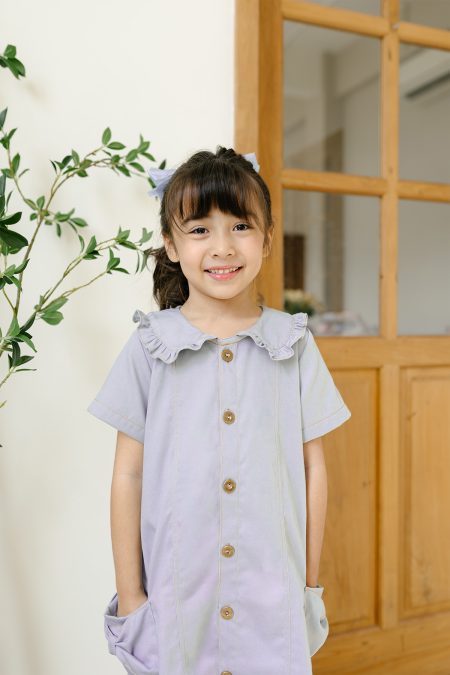 Kelly Denim Dress grey model1